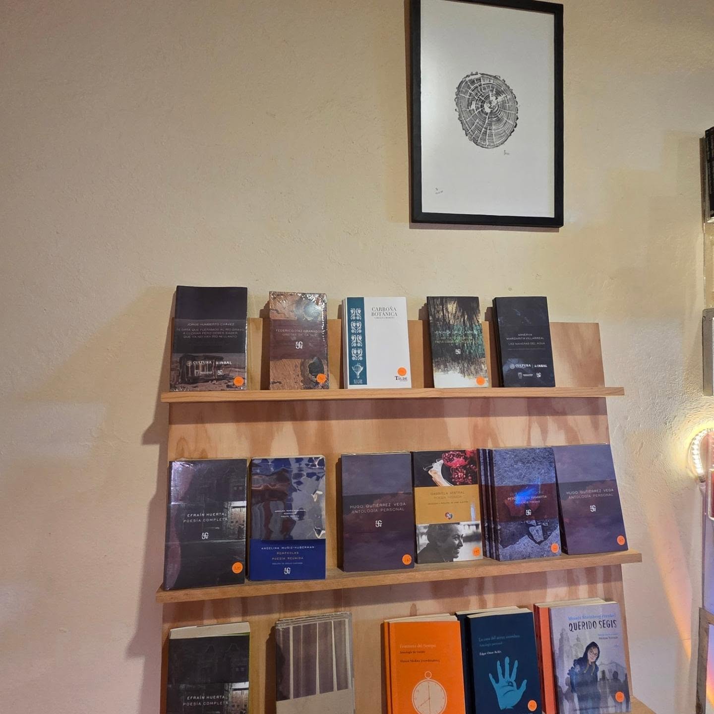Librería Librería Sentido